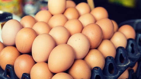 Intoxicaciones huevos